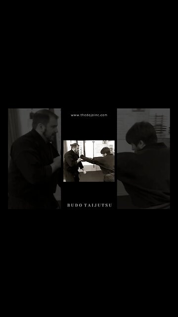 Budo Taijutsu