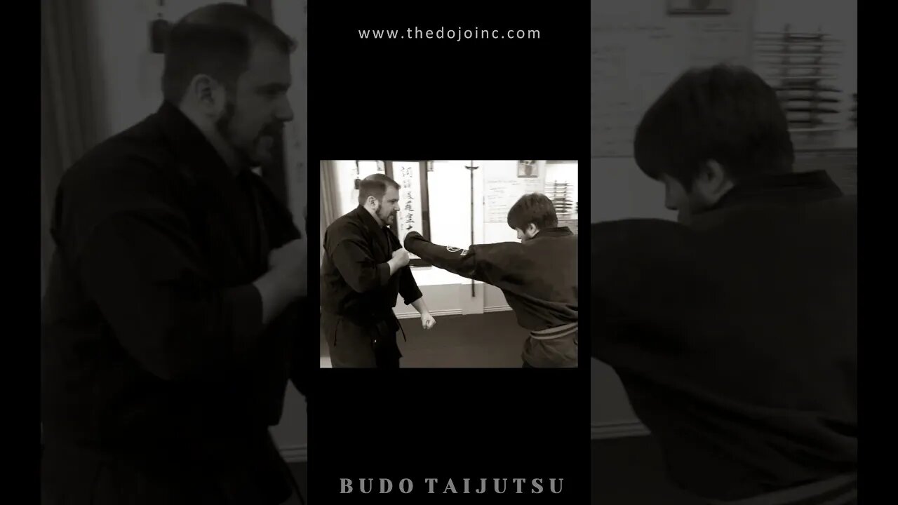 Budo Taijutsu