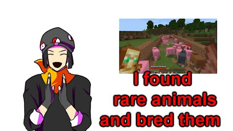 i found a pink sheep and heres my reaction