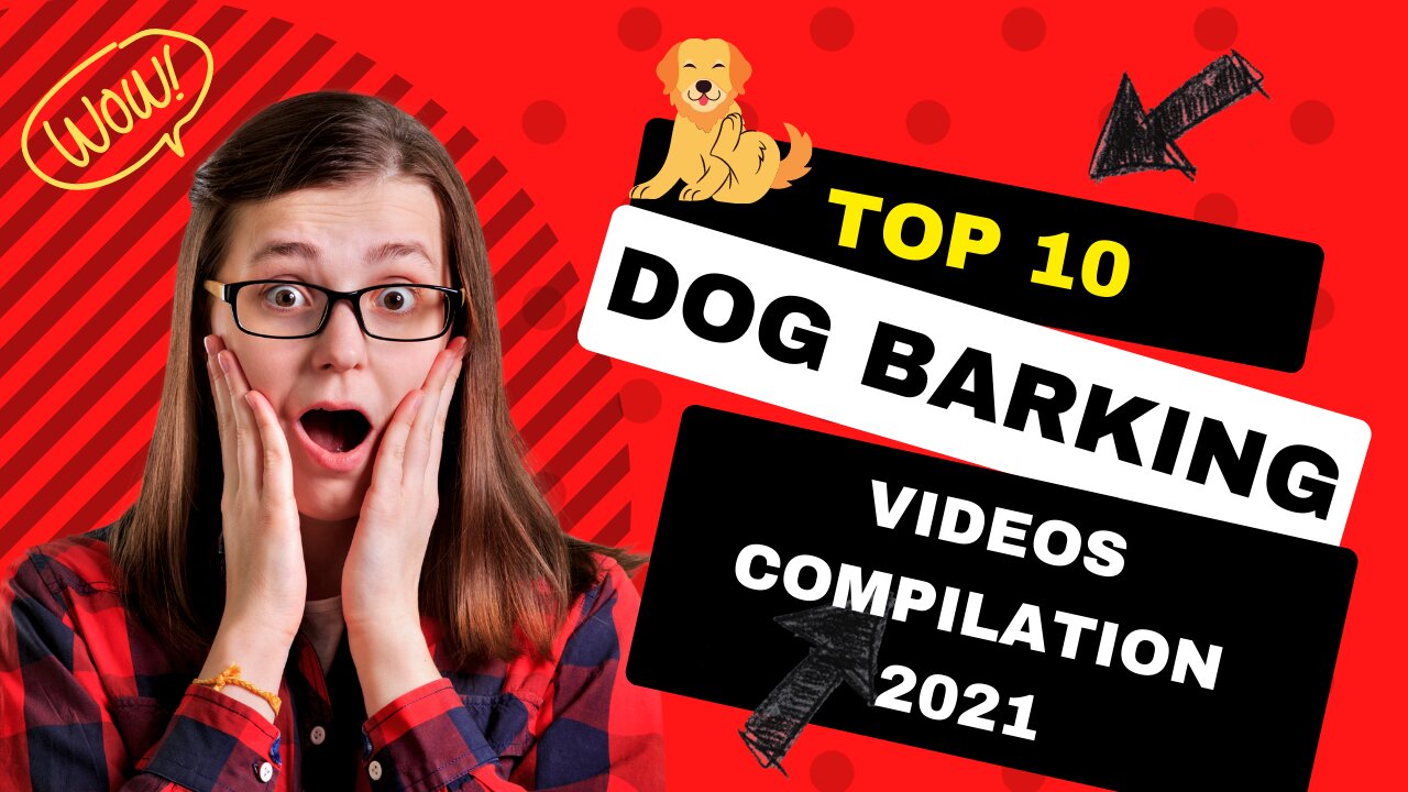 TOP 10 dog barking videos compilation 2021 ♥ Dog barking sound - Funny dogs