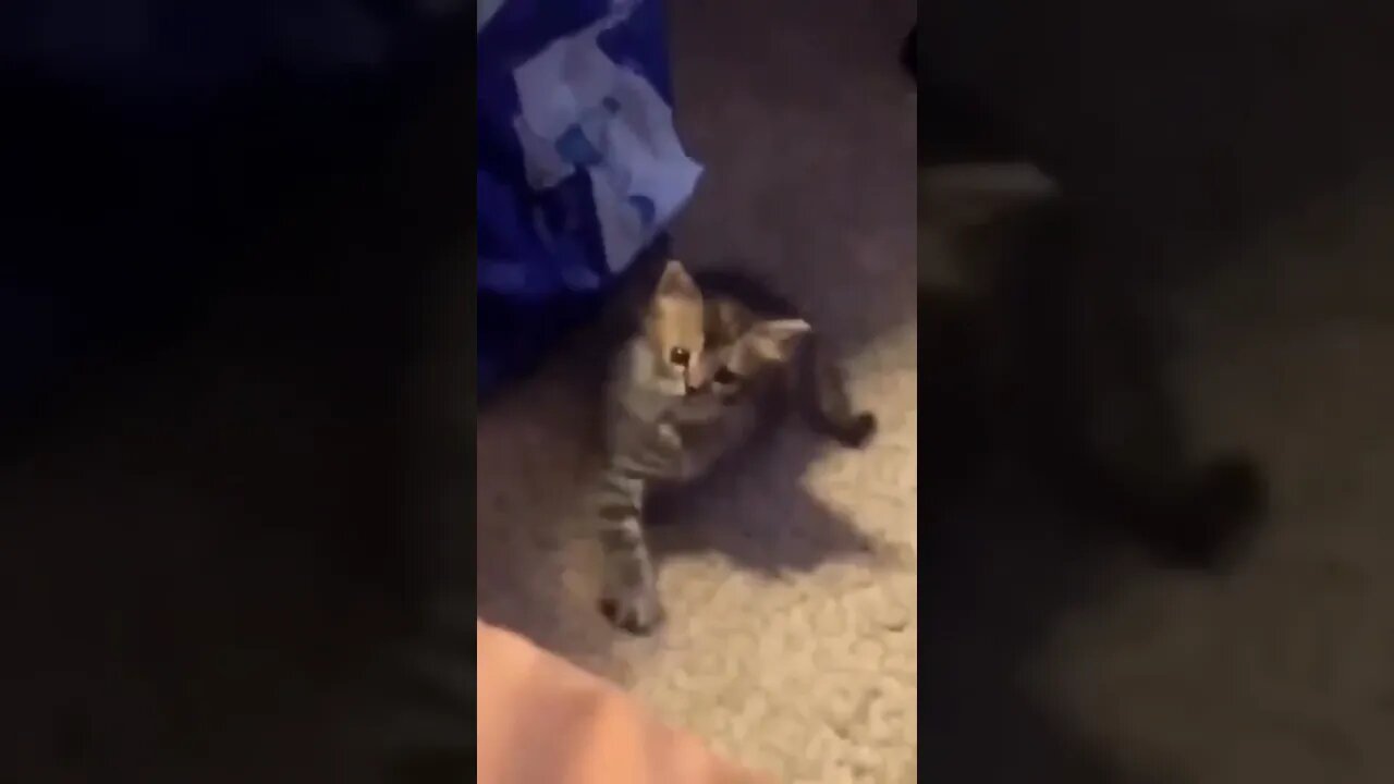 Nope, you come to me ! 😹