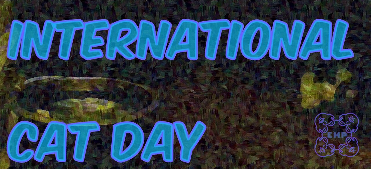 International Cat Day