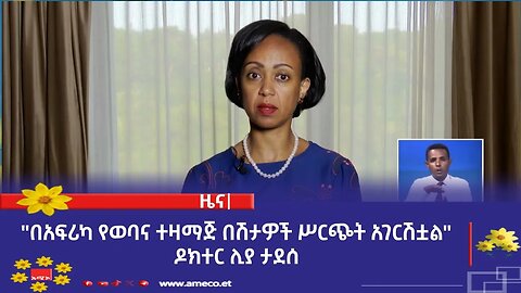 "በአፍሪካ የወባና ተዛማጅ በሽታዎች ሥርጭት አገርሽቷል" ዶክተር ሊያ ታደሰ