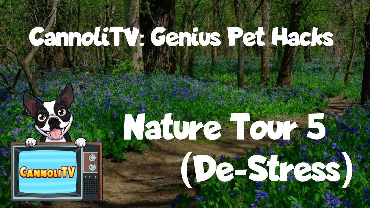 Genius Pet Hack: Soothing Relaxation for dogs - Nature Tour 05