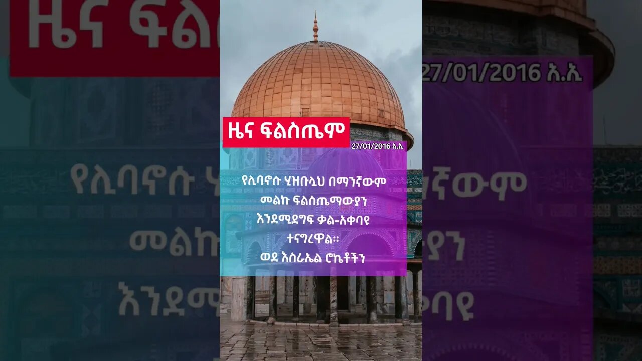 ዜና ፍልስጤም 🇵🇸🇵🇸🇵🇸 ቀን ሁለት #ሰበር #ልዩ #መረጃ #palestine #palestine_tv #palestinefree