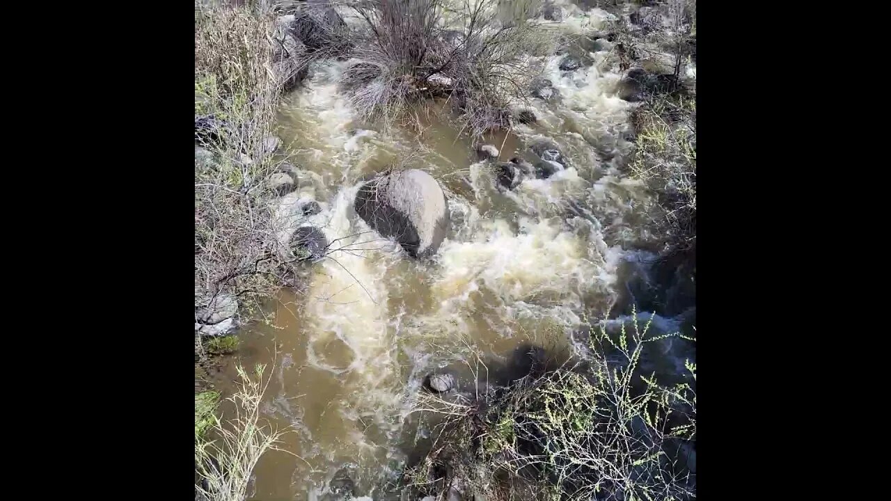 The California rains are swelling the rivers!