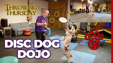 🥏🐶🥋DiscDog Dojo Epic ThrowDown Thursday #100: Brushes, Fidgets & Body Rolls Mastery 🐶🥏🎩