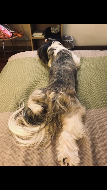 Amayiah and Adventure 2019 - September - October.