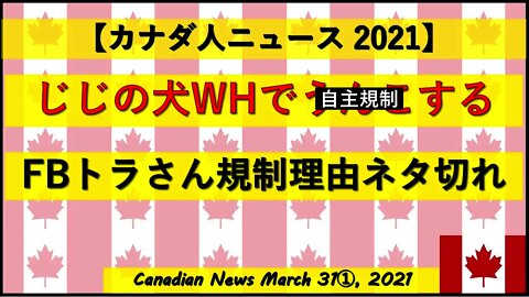 じじの犬WHでう◎こする FBトラさん規制理由ネタ切れ