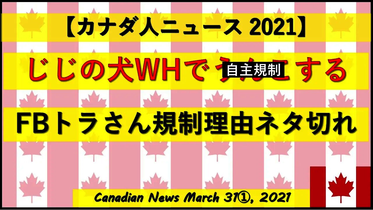 じじの犬WHでう◎こする FBトラさん規制理由ネタ切れ