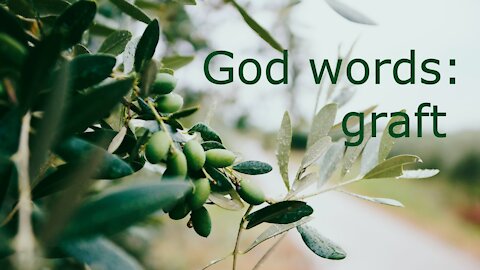 God words: graft