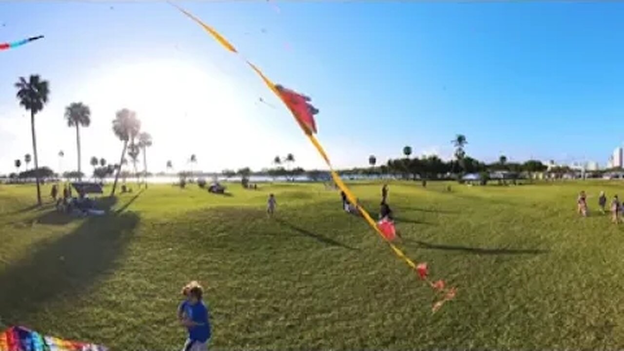 International Kite Day in Miami 360° #2