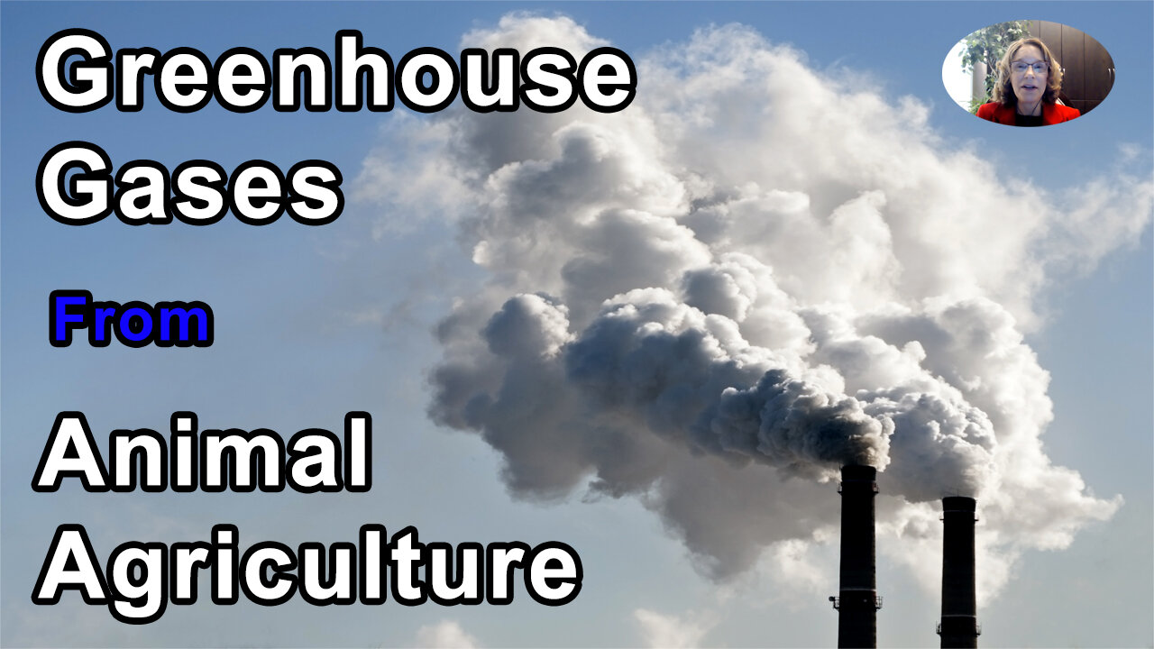 14%-18% Of All Greenhouse Gases, More Than All Forms Of Transportation Combined, Are Due To Animal