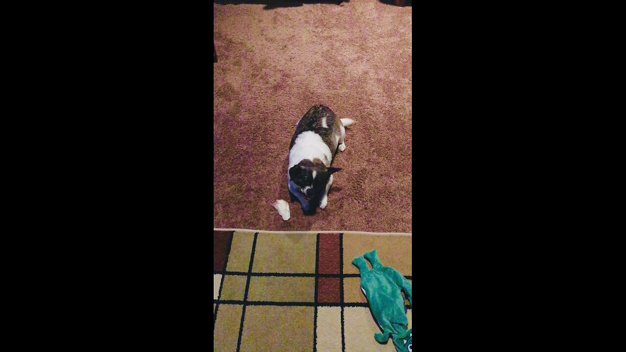 Simon