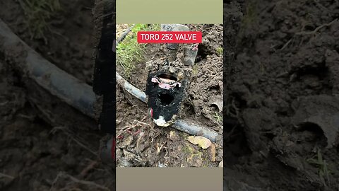 #irrigationsystem #toro252 #torovalve