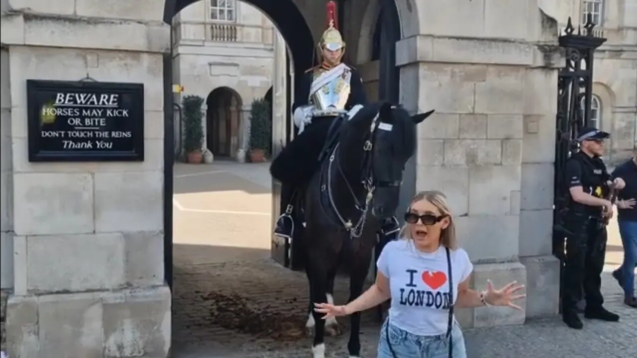 Tourist screams when the horse sneezes 😆 😆 🤣 😂 #thekingsguard