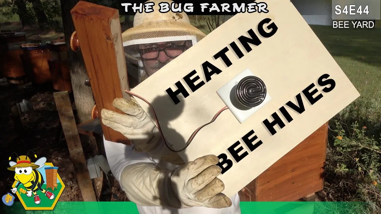 Heated Bee Barns |Adding the heaters to the bee Barns and front row hives. | #beekeeping #insects