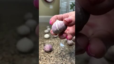 New Type Of Garlic tiktok kitchentiktoking