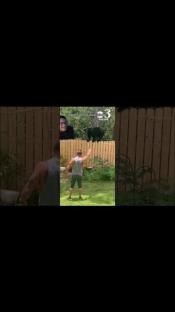 Bears don't care about rhymes