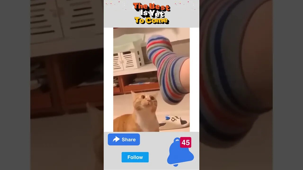 Do not scare me #Shorts LMAO