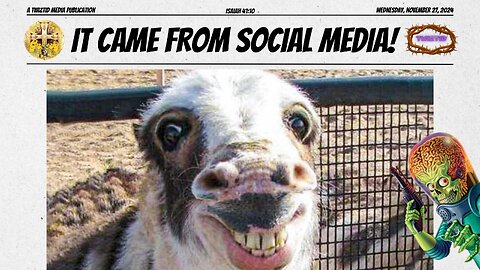 WORLD’S UGLIEST DONKEY WINS ‘CUTEST SMILE’ AWARD—JUDGES DEMAND EYE EXAMS!