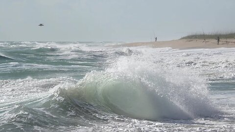 Relaxin' at Sebastian Inlet, Sony A1/Sony Alpha1, 4k