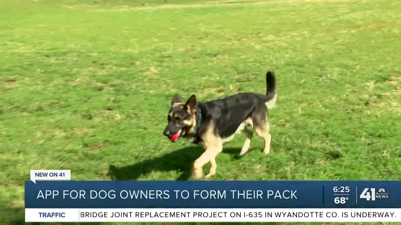 App for dog owners to form their pack