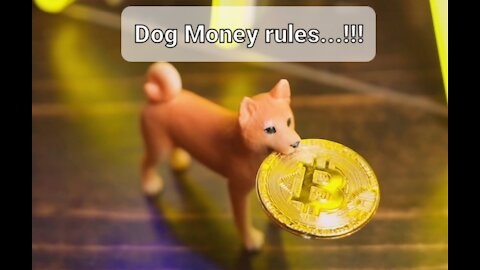 DOGECOIN : DOG MONEY !!