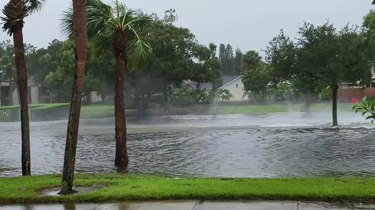 An Airboat in my Neighborhood.