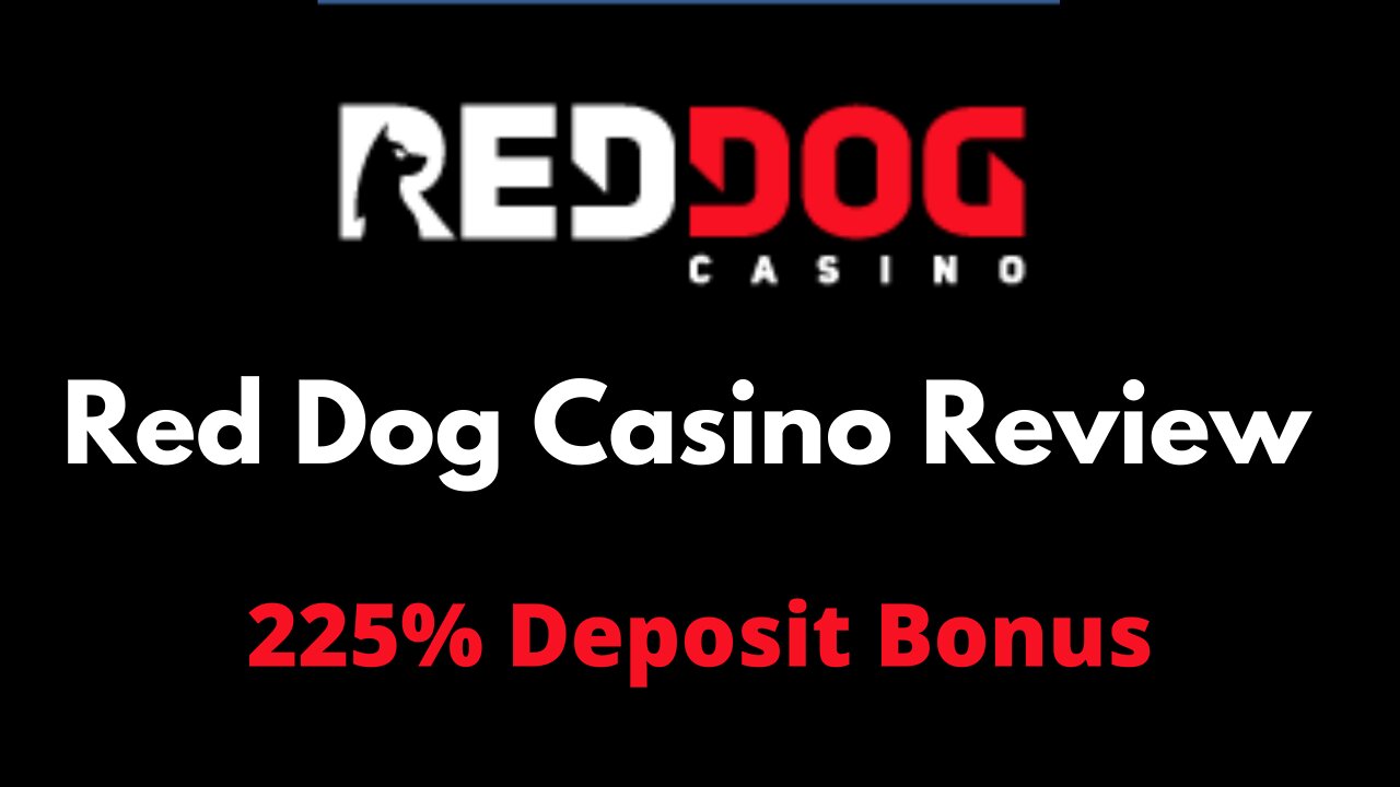 Red Dog Casino Review | Red Dog Casino Bonuses | Is Red Dog Casino Legit?