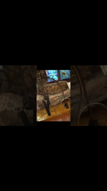 The First Bike Ever!