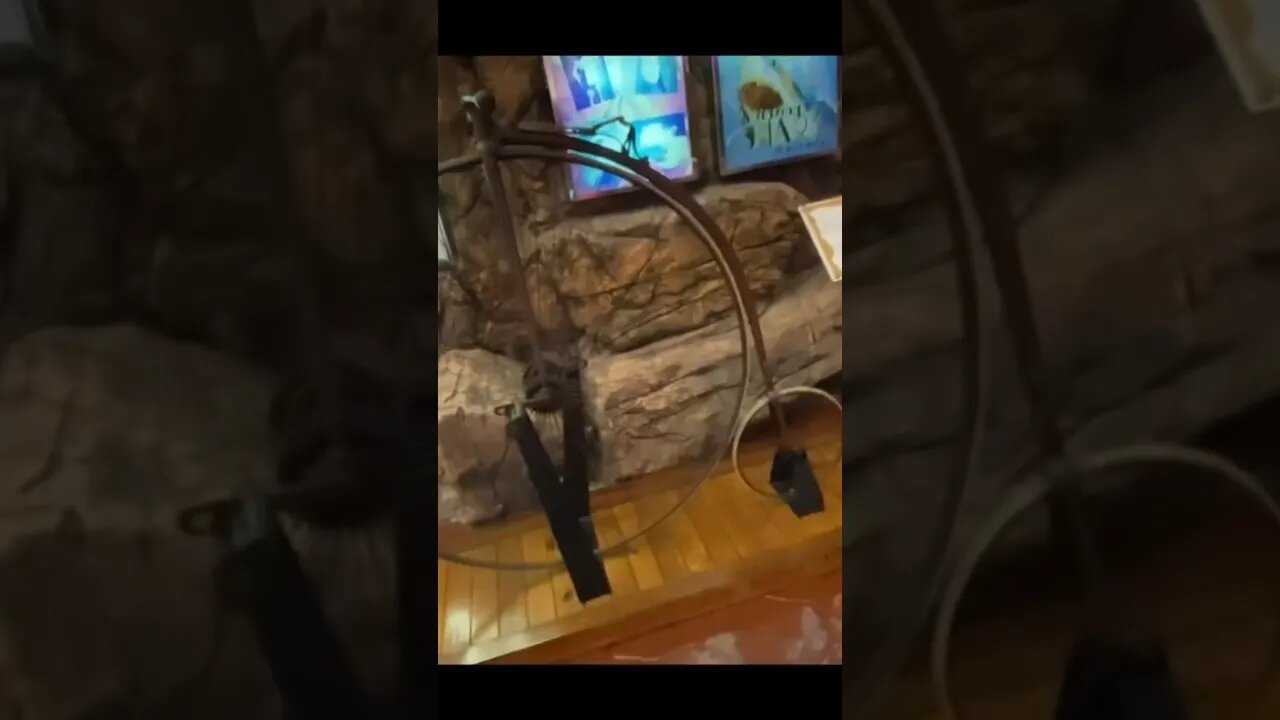 The First Bike Ever!