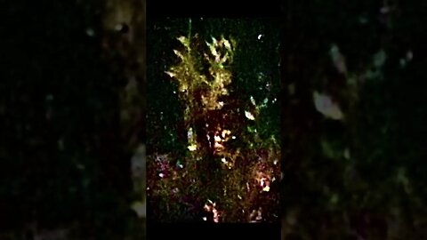 REAL PICS OF ASTRAL BEINGS! THE FOURTH DIMENSION! #spiritrealm