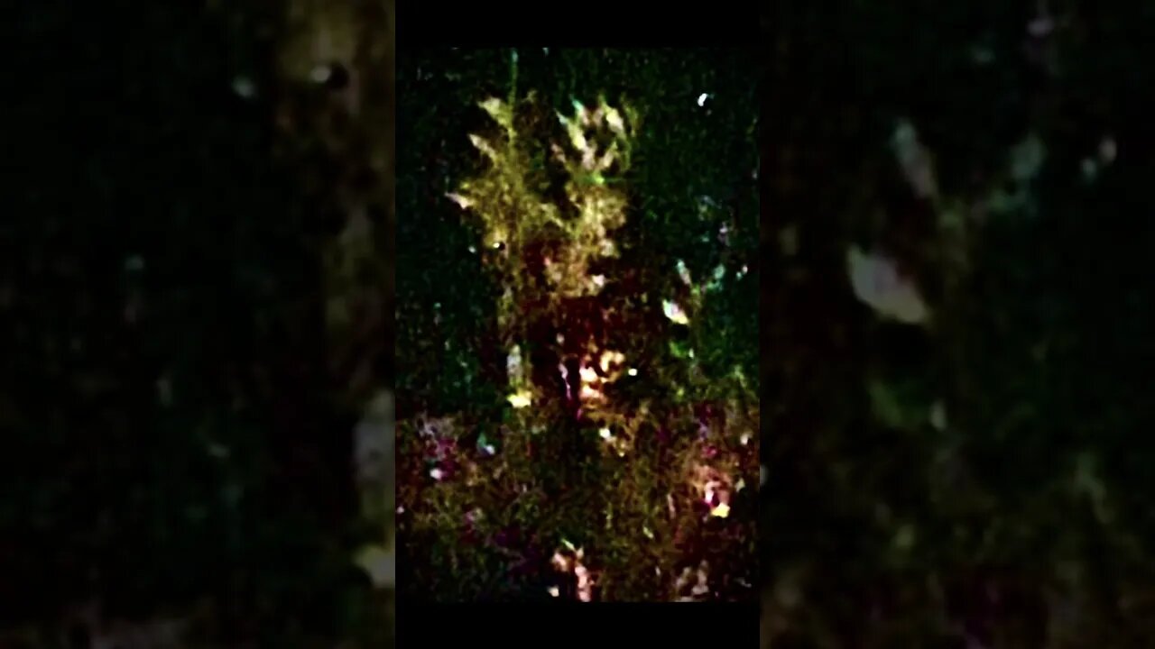 REAL PICS OF ASTRAL BEINGS! THE FOURTH DIMENSION! #spiritrealm