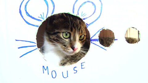 The Cutest Mouse in the World