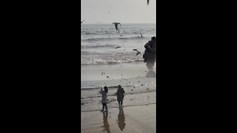 What if i fall? What if you fly?? 😌