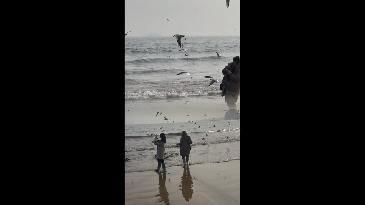 What if i fall? What if you fly?? 😌