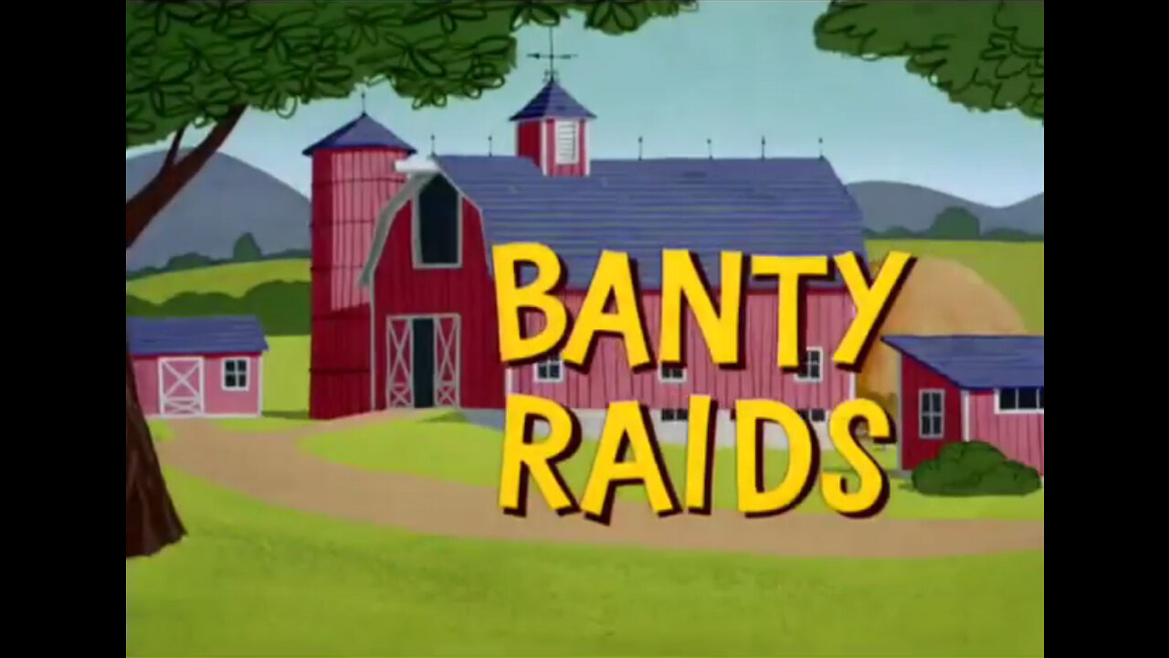 Looney Tunes Hindi EP-10 | Banty Raids