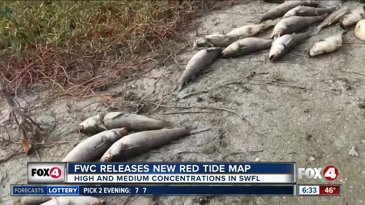 Parts of Southwest Florida see more red tide blooms