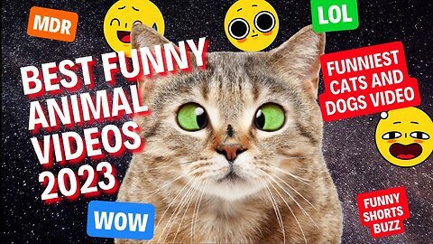 New Funniest Animal's Videos 🐶😺 | Most Funny Cat and Dog Videos | Funny Fails of Pets