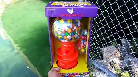 WORLD'S FIRST Gumball Machine AQUARIUM!