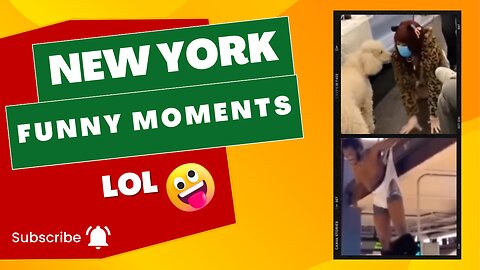 New York Funny Moments