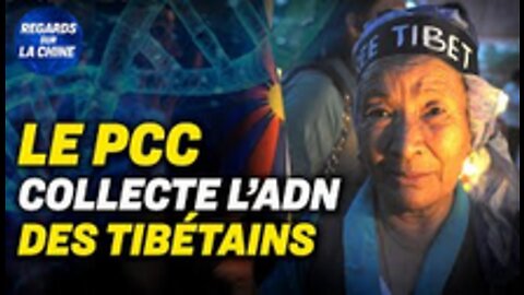 Le Tibet et la collecte de l'ADN des Tibétains ; Raid du FBI chez Trump un avantage pour le PCC