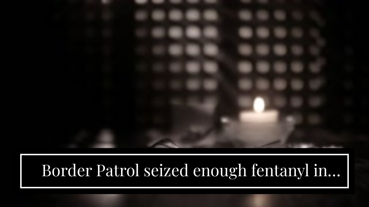 Border Patrol seized enough fentanyl in July to kill every American