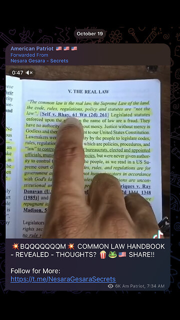 💥BQQQQQQQM💥 COMMON LAW HANDBOOK - REVEALED - THOUGHTS? 🍿🇺🇸 SHARE!!