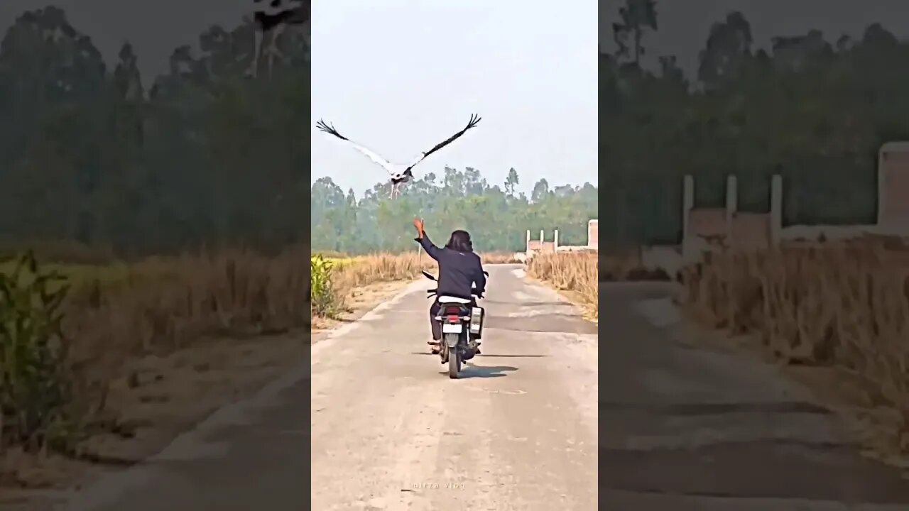 Saras Pakshi & Arif ki Bike Race #sarasarif #subscribe #arifsaras #sarasarifstory #shorts #viral