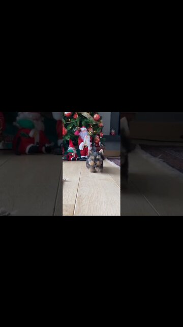 Cute adorable baby child with warm white and pink hat with cute baby girl