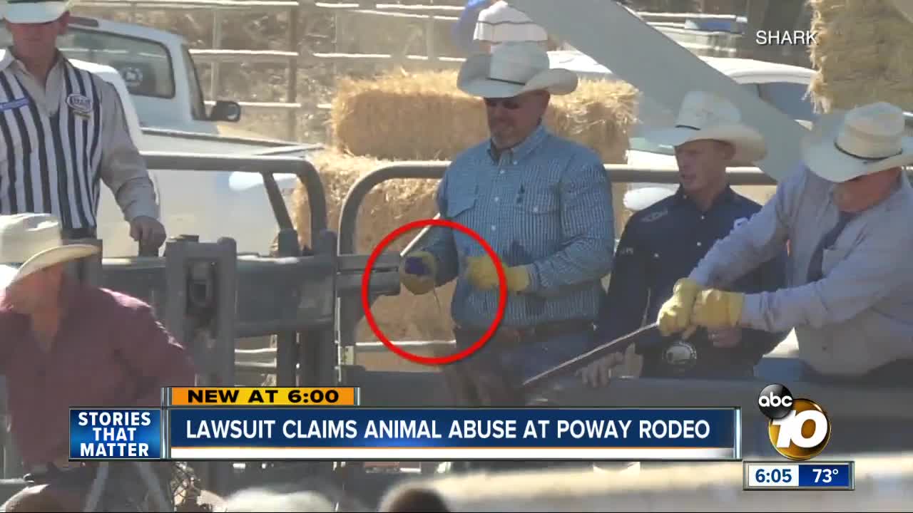 Lawsuit claims animal abuse at Poway rodeo