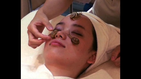 Japanese Snail Beauty Treatment