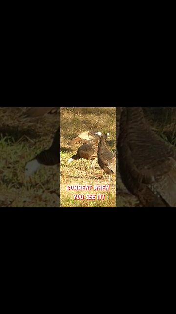 Only REAL Hunters will see it!